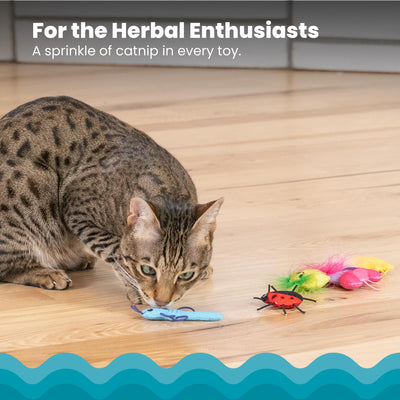 Cat playing with a toy on a wooden floor with text about catnip.