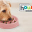 Outward Hound Fun Slow Feeder For Dogs - MINI