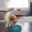Outward Hound Fun Slow Feeder For Dogs