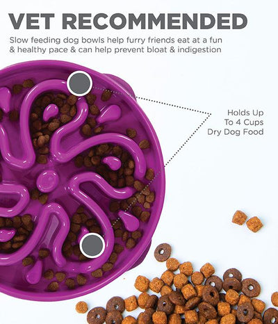 Outward Hound Fun Slow Feeder For Dogs - Purple