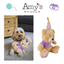 Birthday Dog Toys - Plush Bear or Trio of Tennis Balls
