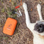 Dog lying on grass beside open DogsLife pet first aid kit with medical essentials including bandage, scissors, and whistle; perfect for outdoor pet safety and emergency care on walks, hikes, or travel