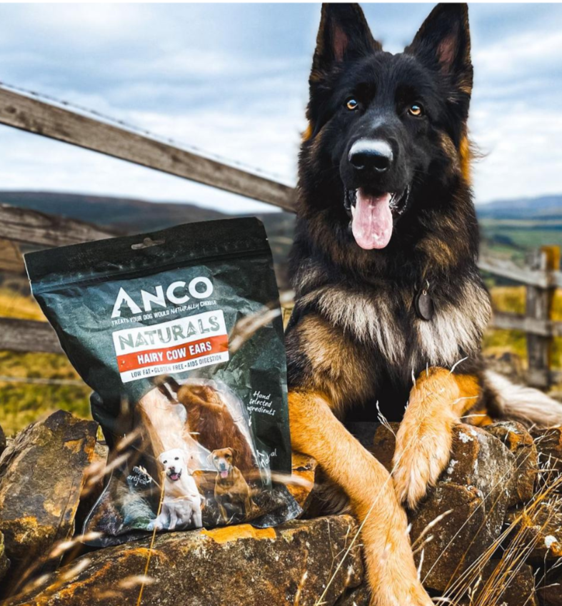 Hairy Cow Ears 3pk- Natural Dog Treat