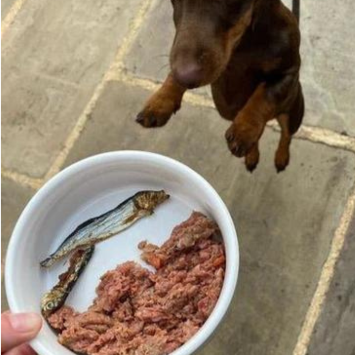 Dried Whole Baltic Sprats 200g -Natural Dog Treats