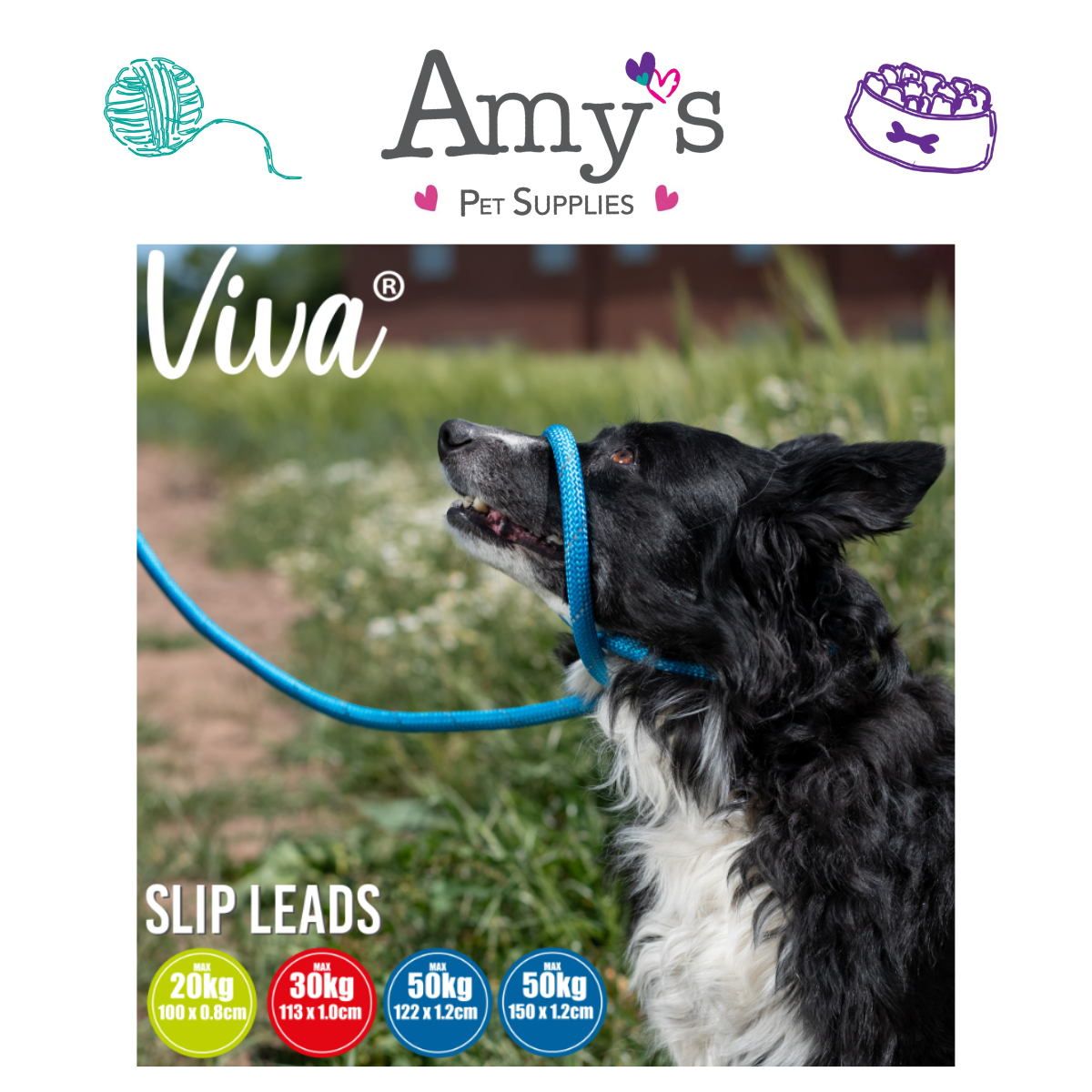 Viva Rope Slip Lead 150cm x 0.8cm