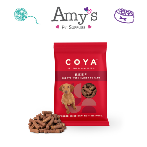 Raw dog food treats 2025