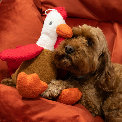 Dog playing with Tufflove turkey dog toy – soft, cuddly, and durable with an engaging squeaker for interactive fun.


