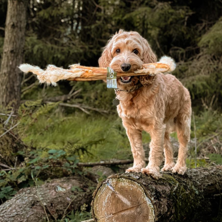 Giant Rabbit Stick - Natural Dog Treat