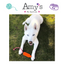 Sodapup Rocket Pop Dental and Retrieving Dog Toy