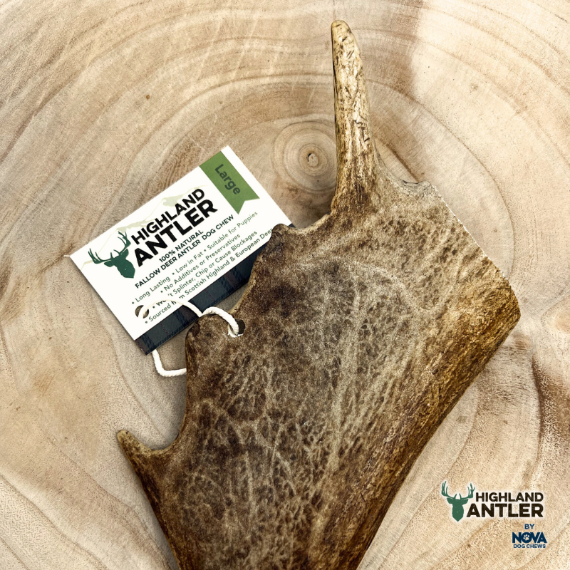 Fallow Antler Natural Dog Chew - Large