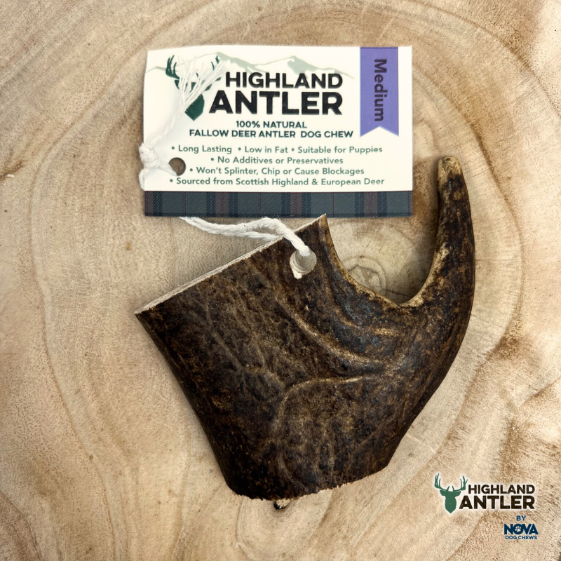Fallow Antler Natural Dog Chew - Large