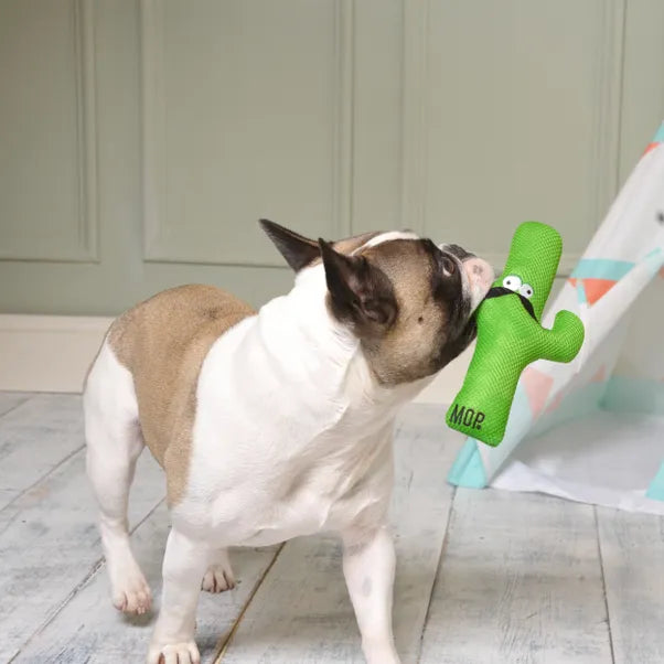 Ministry Of Pets Carlos the Cactus Plush Rope Dog Toy with Squeaker