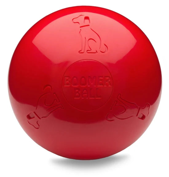 Company of Animals Boomer Ball 6 Inch Dog Toy