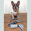 Make Your Own Dog Lead Craft Kit - BLUE