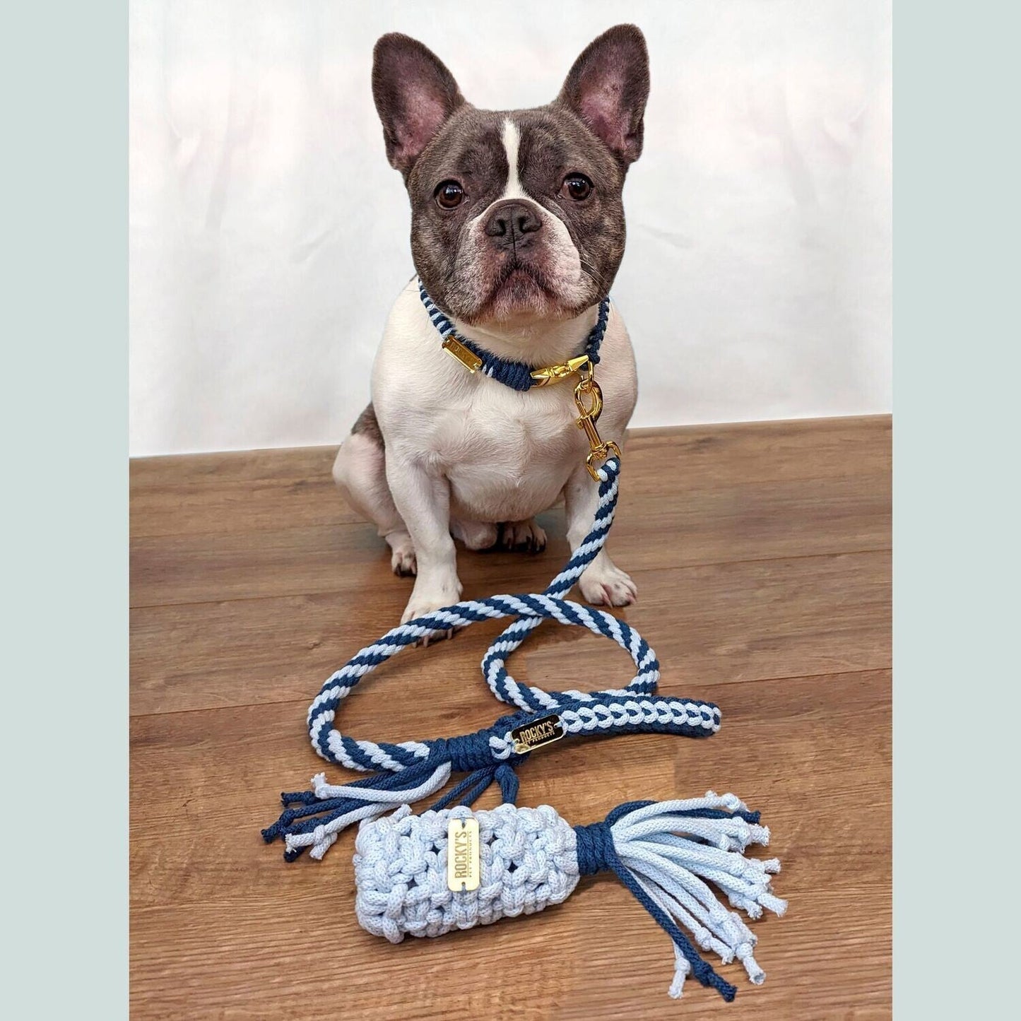 Make Your Own Dog Lead Craft Kit - BLUE