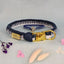 Make Your Own Dog Collar & Friendship Bracelet Craft Kit - BLUE