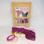 Make Your Own Dog Collar & Friendship Bracelet Craft Kit - PINK