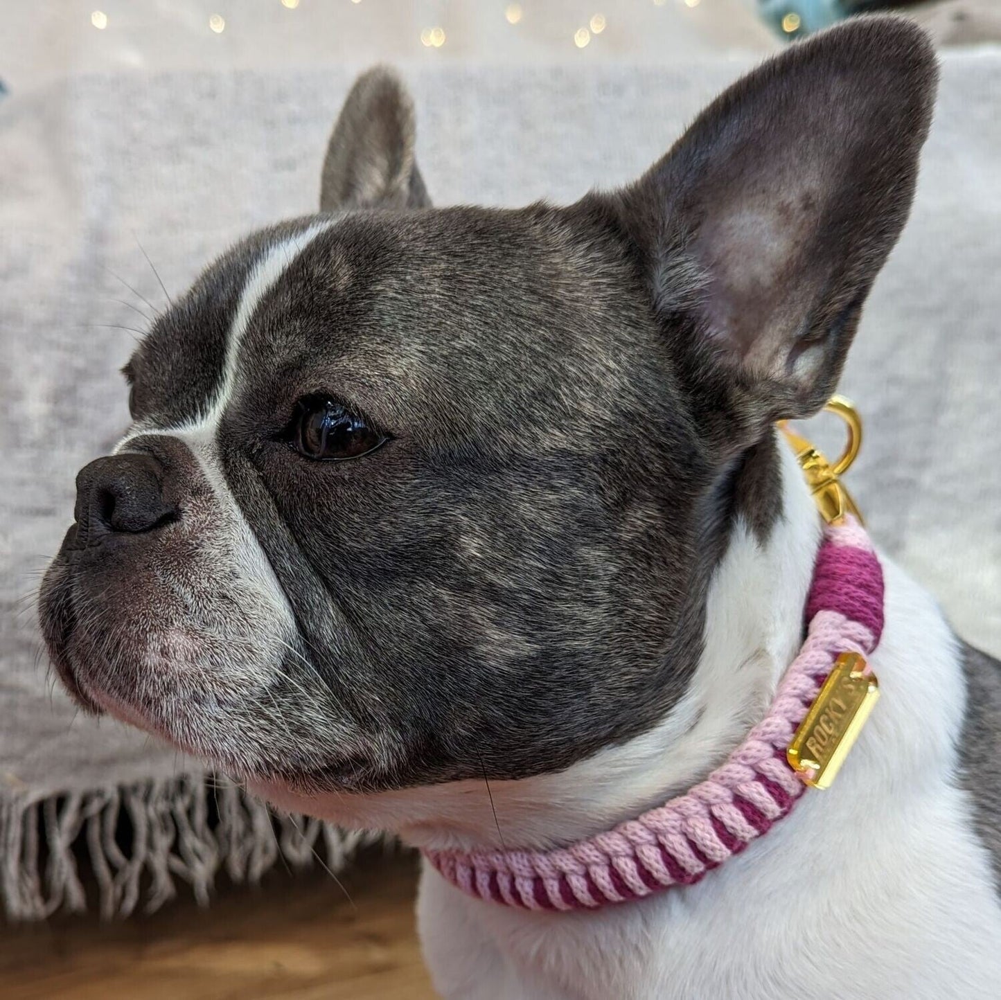 Make Your Own Dog Collar & Friendship Bracelet Craft Kit - PINK