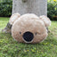 Chubleez – Kookie Koala Plush Dog Toy