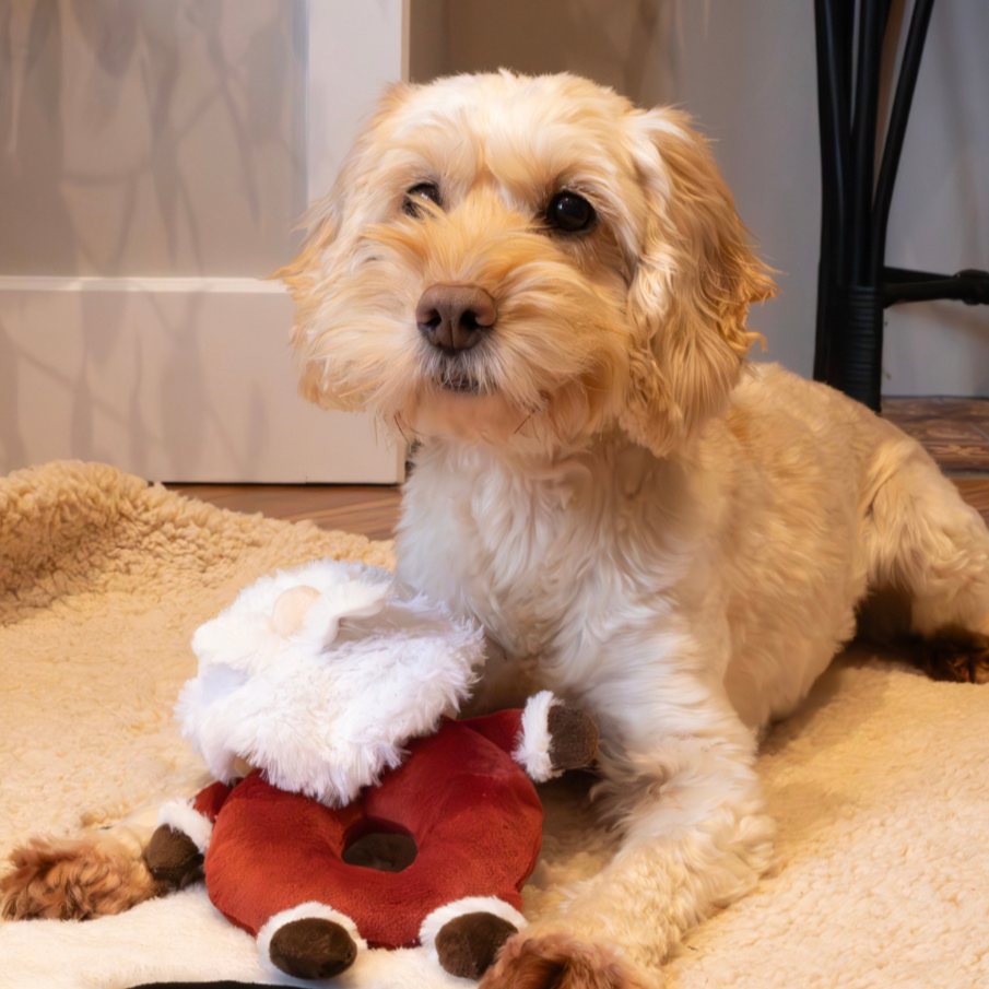 Sylvester Santa Plush Dog Toy with Rope Core