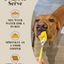 Pumpkin Powder Supplement For Dogs