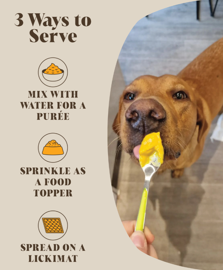 Pumpkin Powder Supplement For Dogs