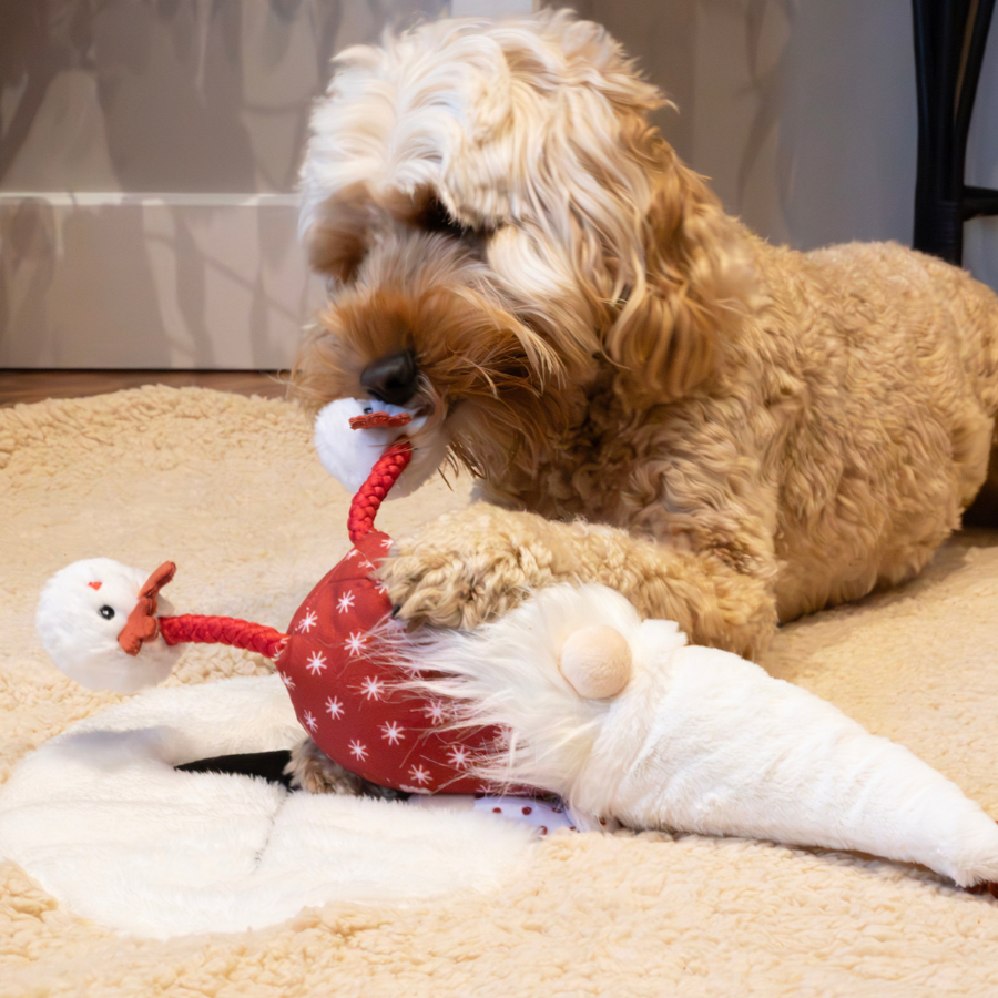 Greg Gonk Festive Plush Dog Toy