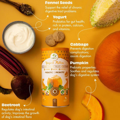 Pawfect Pre and Probiotic Dog Treats: Pumpkin & Yogurt 38g.