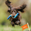 Twiggy Tags ZigZoom™ Interactive Fetch Toy
