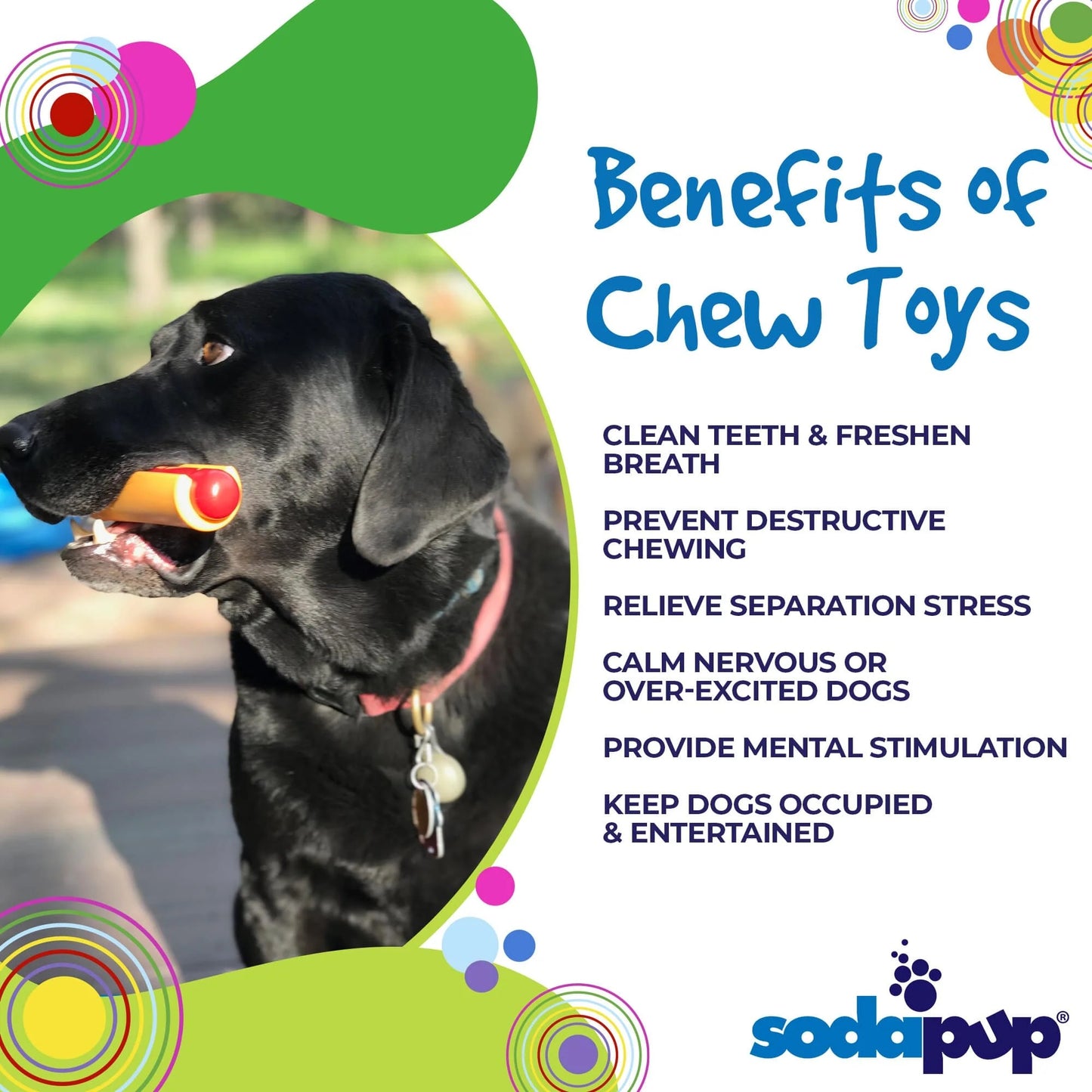 SodaPup Hot Dog Power Chewer Toy