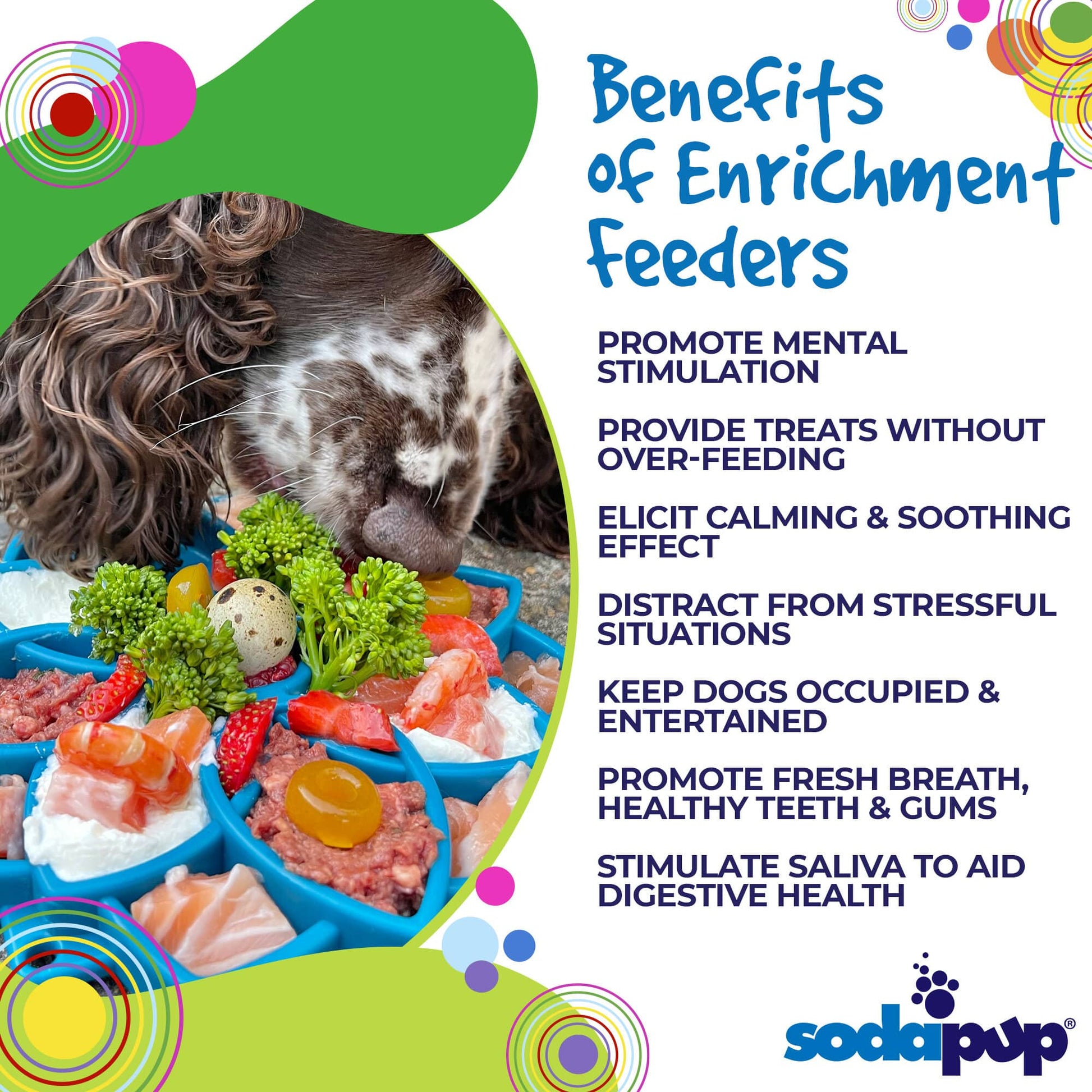Advertisement for SodaPup enrichment feeders with a dog eating from a colorful tray.