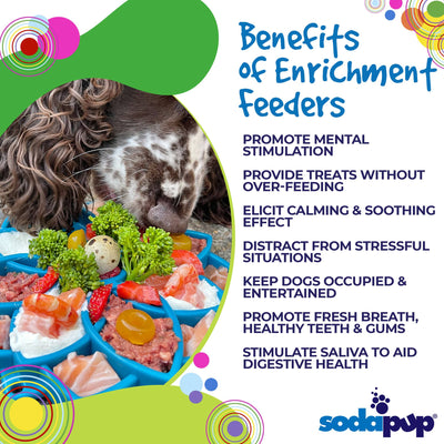 Advertisement for SodaPup enrichment feeders with a dog eating from a colorful tray.