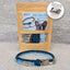 Make Your Own Dog Collar Craft Kit - BLUE