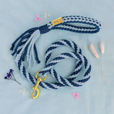 Make Your Own Dog Lead Craft Kit - BLUE