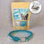 Make Your Own Dog Collar Craft Kit - MINT
