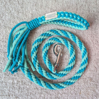 Make Your Own Dog Lead Craft Kit - MINT