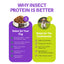 Promotional graphic about insect protein for dogs, highlighting benefits for both dogs and the environment.