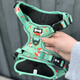 Green dog harness with fox pattern held by a person against a gray background