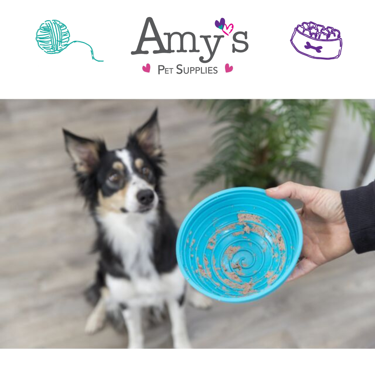 Lick'n'snack Dog Enrichment Bowl