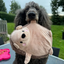 Pup Chic Autumn Wonderland Dog Toys
