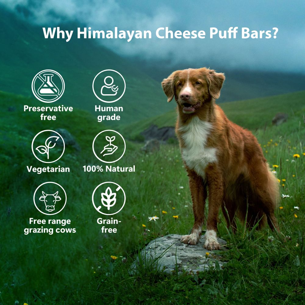 Himalayan Cheese Puff Bars For Dogs 70g
