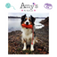 Sodapup Rocket Pop Dental and Retrieving Dog Toy