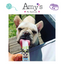 Woof & Brew Paw Pops 6 pack Ice Lollies for Dogs