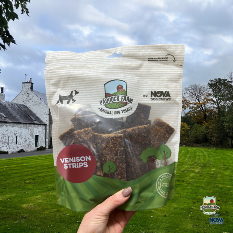 Paddock Farm Venison Strips natural dog treats held outside, resealable bag of high-protein grain-free venison chews for dogs, made with 100% meat, available at Amy’s Pet Supplies.