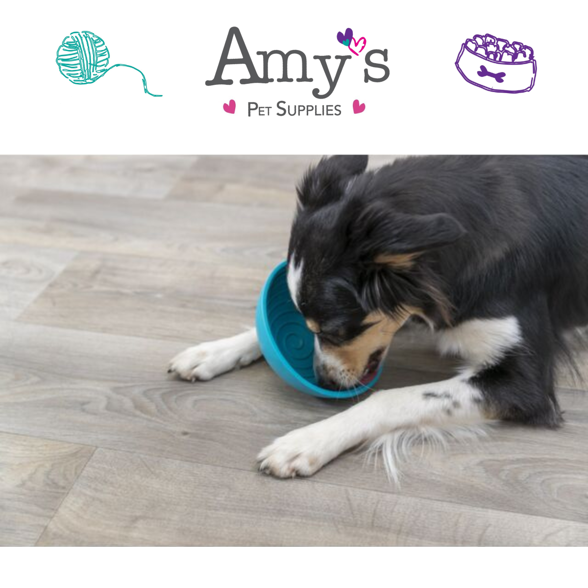 Lick'n'snack Dog Enrichment Bowl