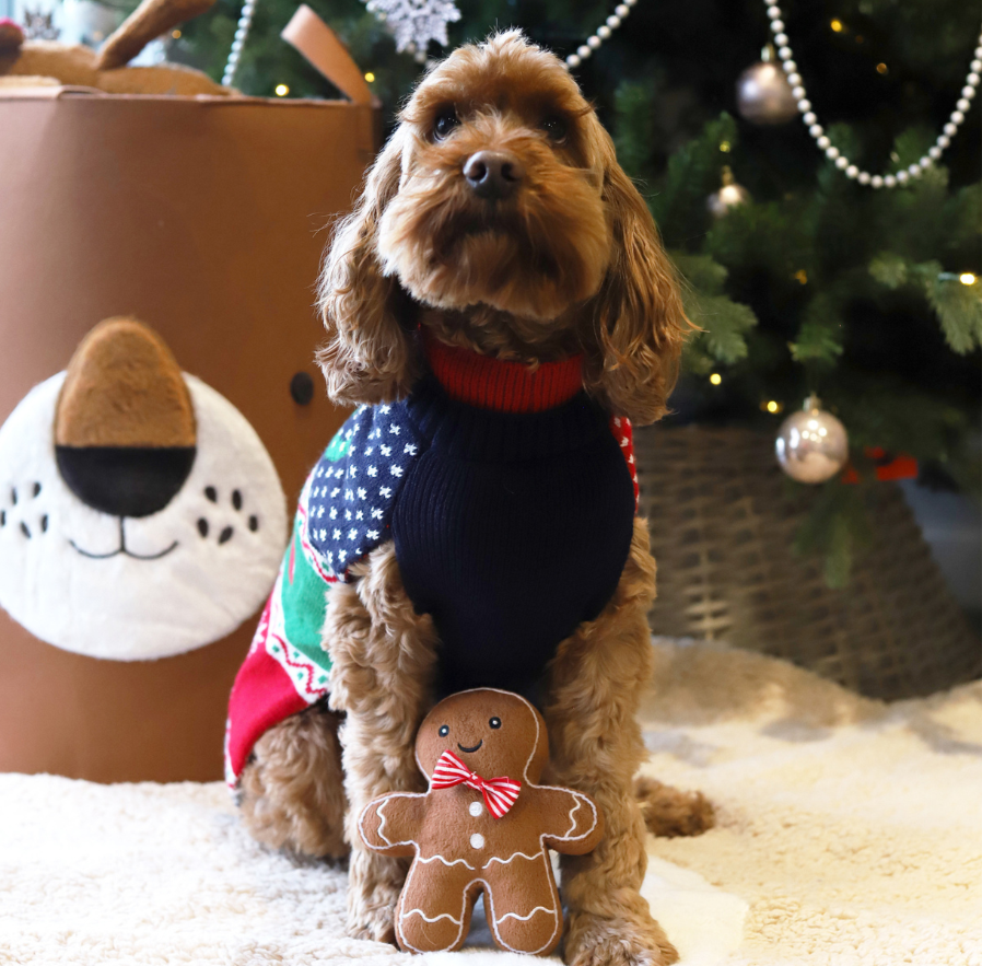 Cupid & Comet Christmas Eve Gift Box for Dogs