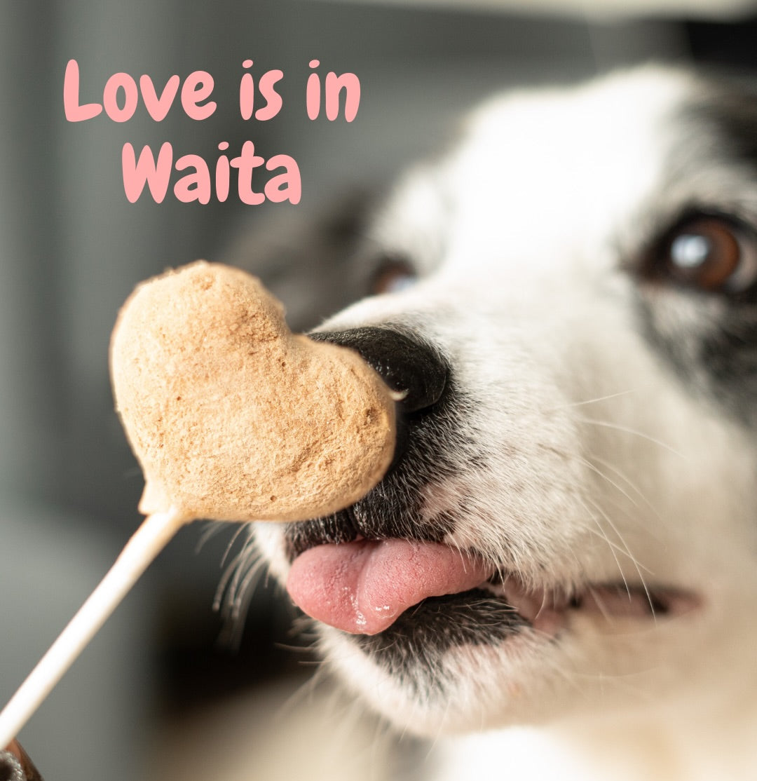 Waita Freeze Dried Chicken and Purple Potato Lollipop 4g natural dog and cat treat