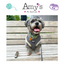 Pup Chic - City Slicker Vegan Leather Range- Harnesses, Leads, Etc
