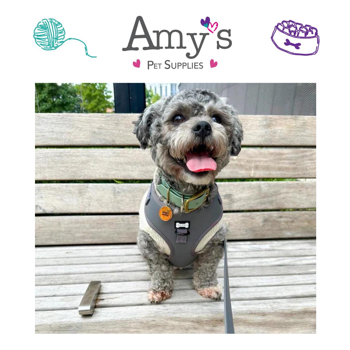 Pup Chic - City Slicker Vegan Leather Range- Harnesses, Leads, Etc