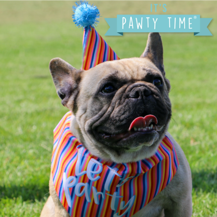 Ancol Pawty Collection - Dog Hat & Bandana